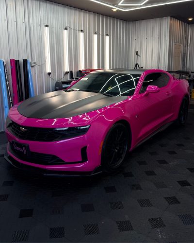 IMG_1245_optimized_1000